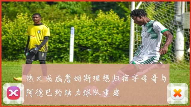 热火或成詹姆斯理想归宿字母哥与阿德巴约助力球队重建